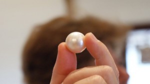 Biggest Pearl in Broome